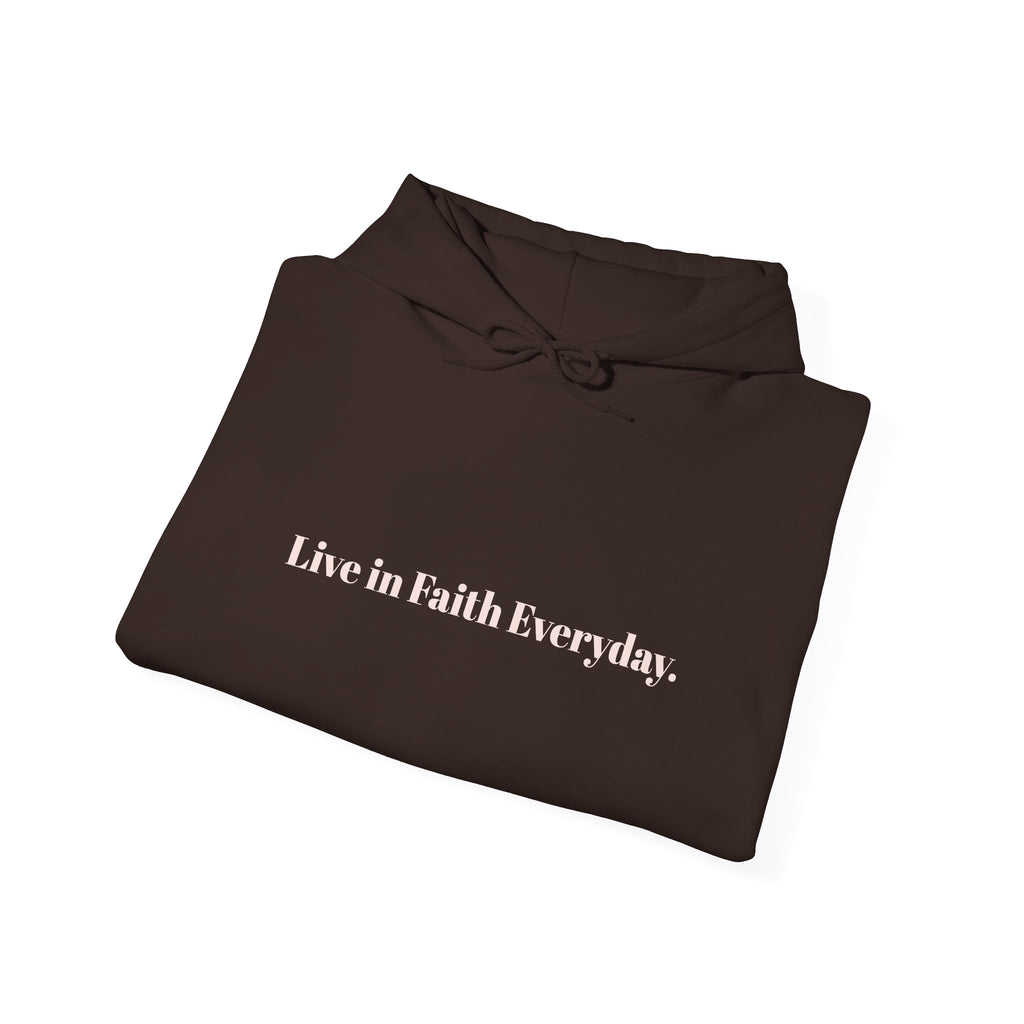 Faith 'Live in Faith Everyday' Hoodie — LOVE Back Christian Pullover